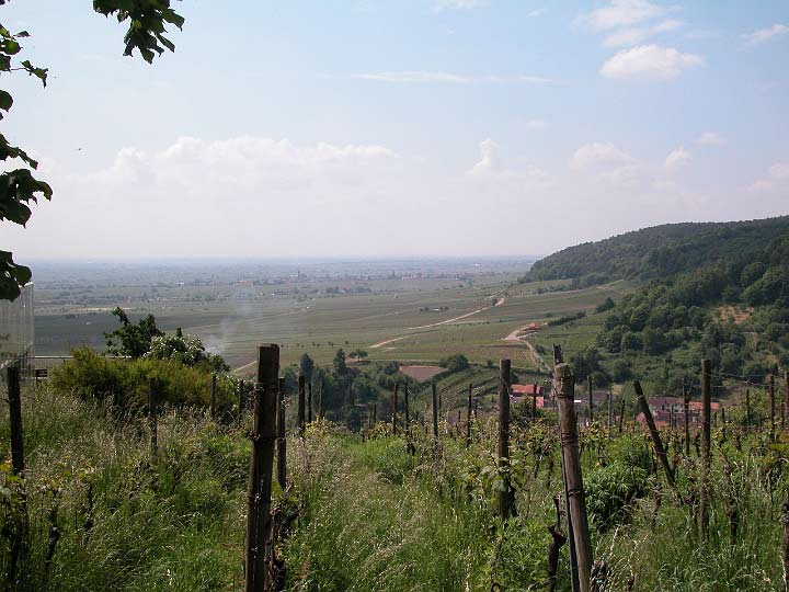 Speyer_230508_015.JPG - Wunderbare Aussicht weit ins Land hinaus