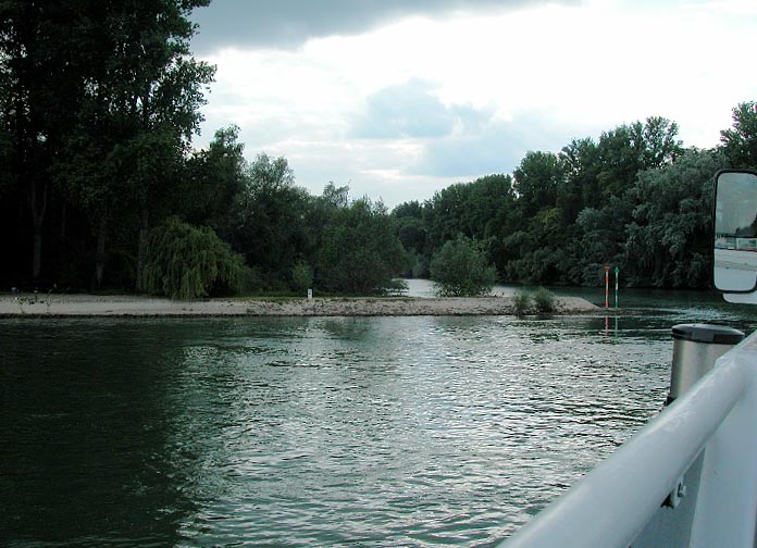 Speyer_230508_067.JPG - Auenlandschaft des Rheins