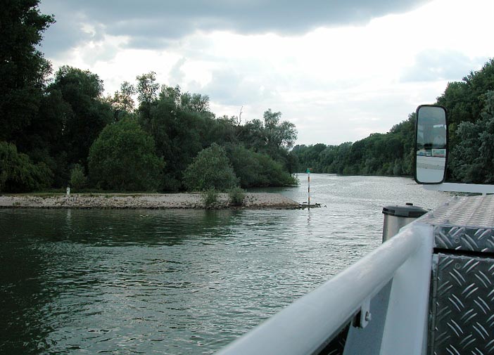 Speyer_230508_068.JPG - Auenlandschaft des Rheins