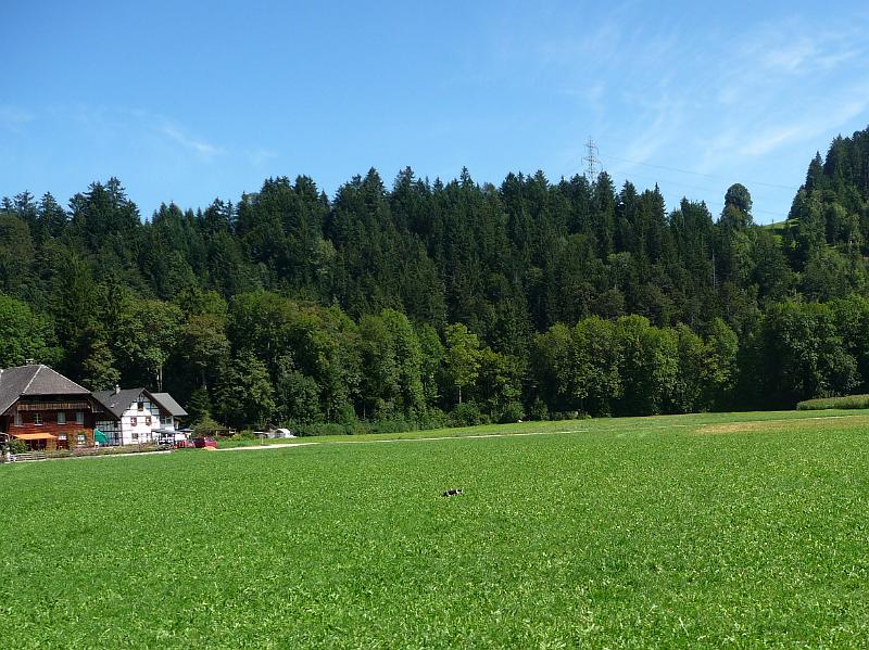 P1100286a.jpg
