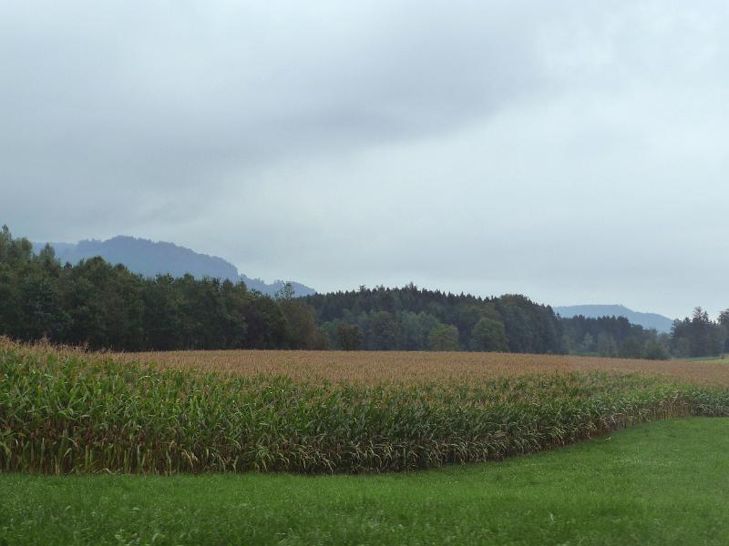 P1110393.JPG