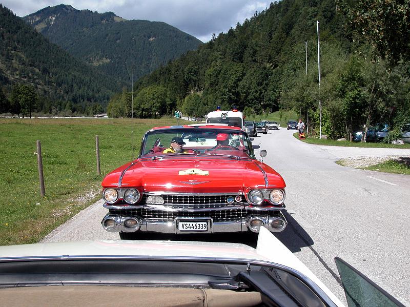 DSCN6466.JPG - -