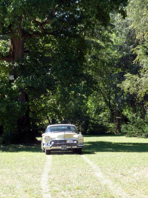 20100902-31_P1210991.JPG - Nach einem steilen Feldweg mit engen Kurven kommt man auf die grosse Wiese vor dem Schloss