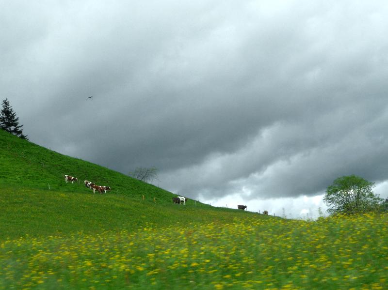 250_P1400129.JPG - Der Himmel wurde etwas schwärzer