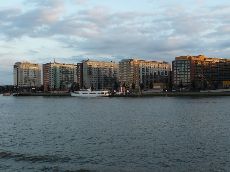 155_P1560455.JPG