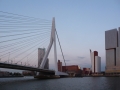 230_P1560507