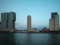 265_DSCN3988