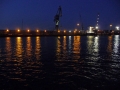 355_P1560550