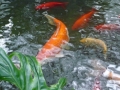 565_P1570345