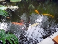 570_P1570346