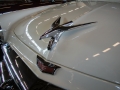 632_DSCN4041