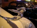 174_DSCN4054