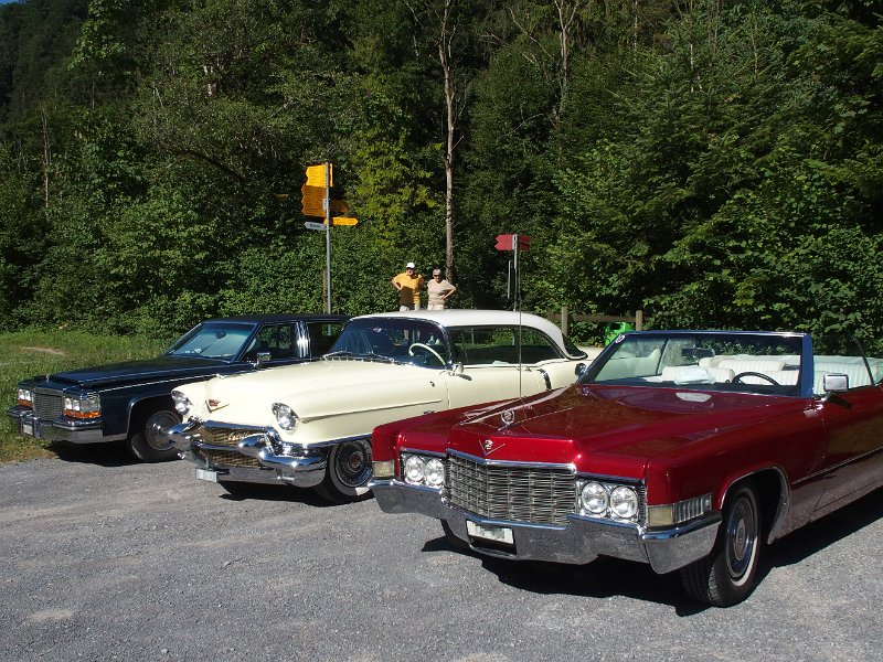 1000_P6294511.JPG