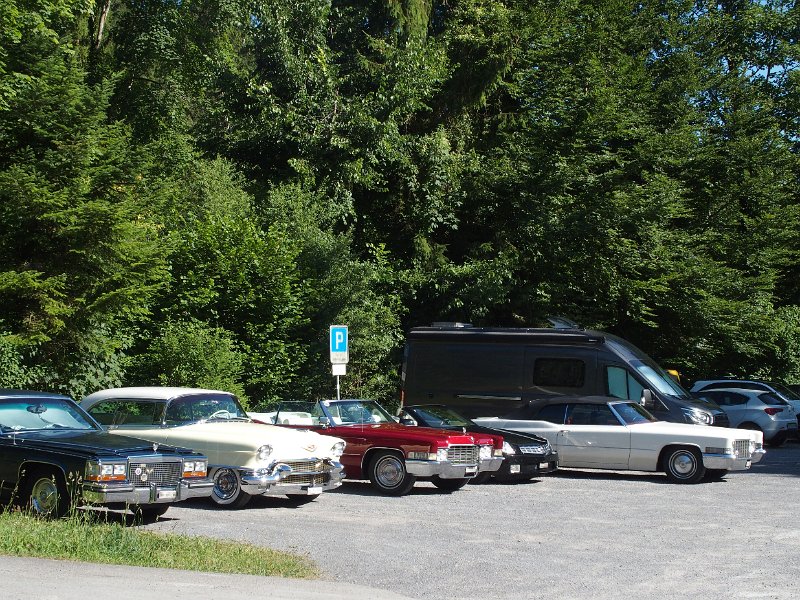1010_P6294516.JPG