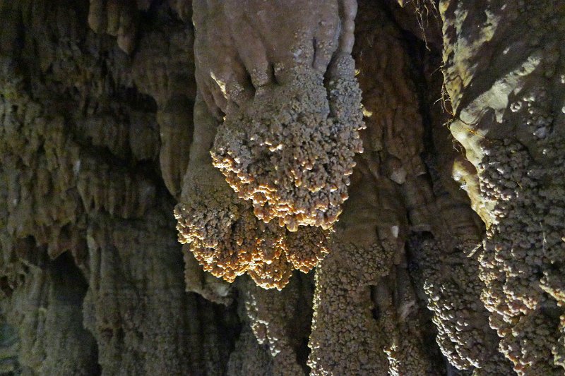 2080_P1280547.JPG