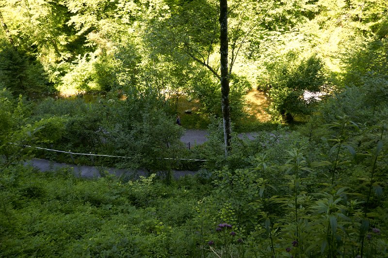 2145_P1280601.JPG