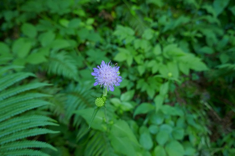 2160_P1280608.JPG