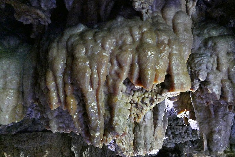 2170_P1280612.JPG