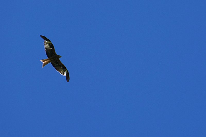 4040_P1280750.JPG