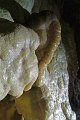 2085_P1280553