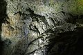 2095_P1280556