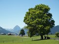 4005_P6294559