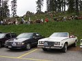 390_P6075524